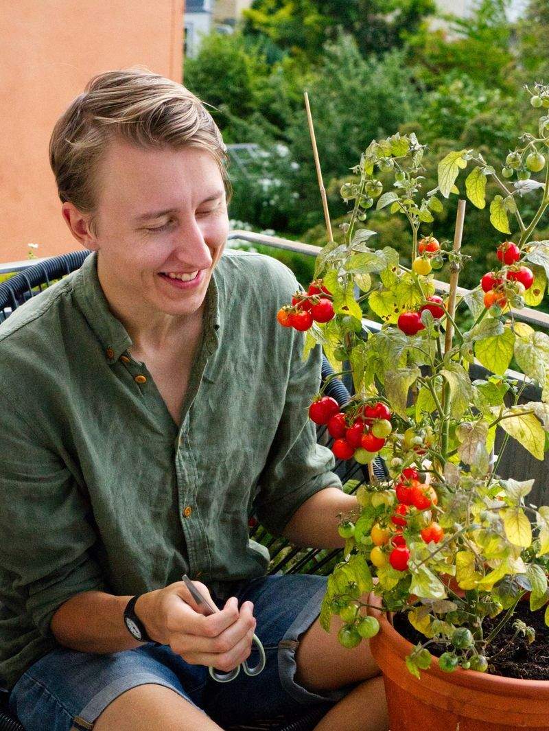 Créer un massif harmonieux avec des plantes faciles d’entretien